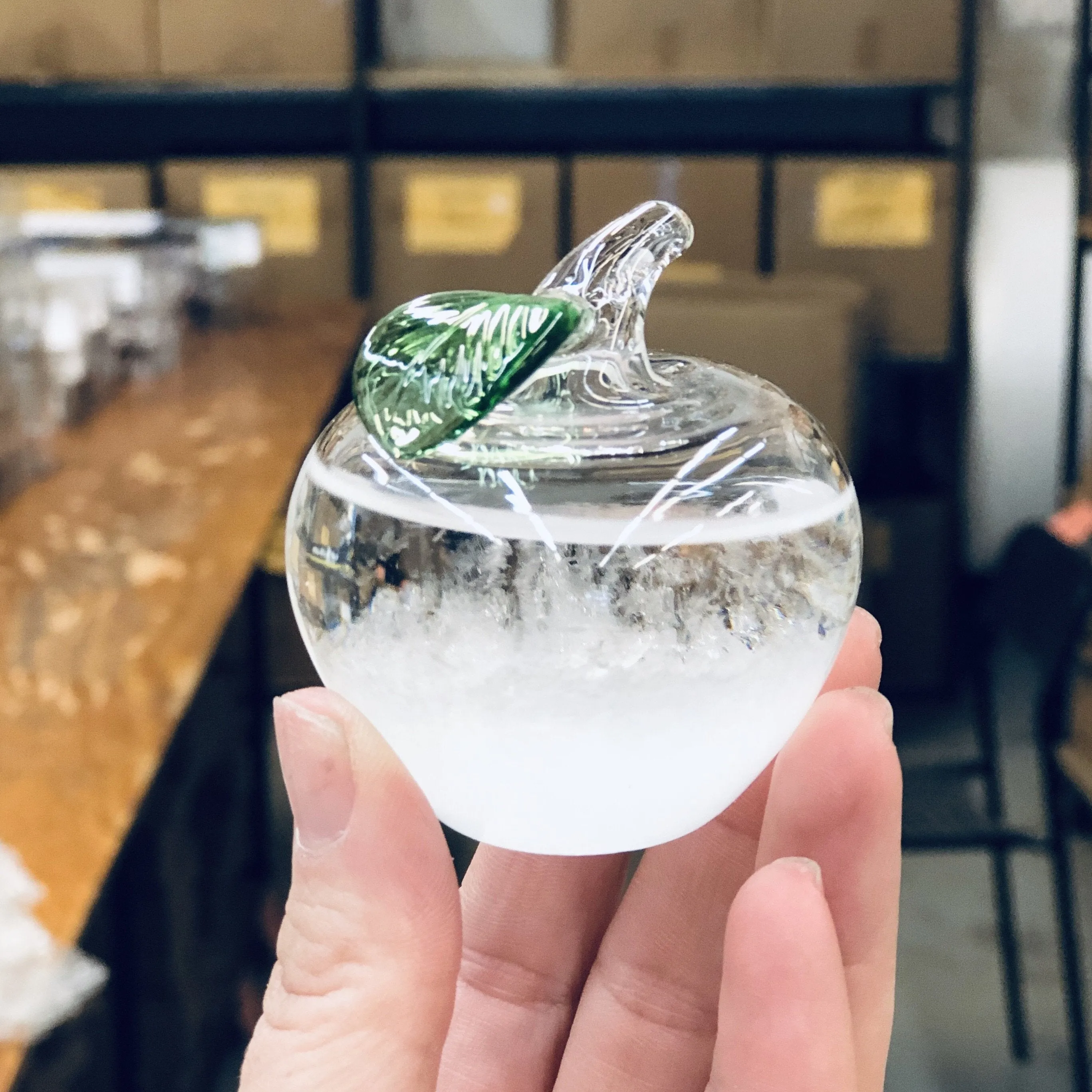 Apple Storm Glass